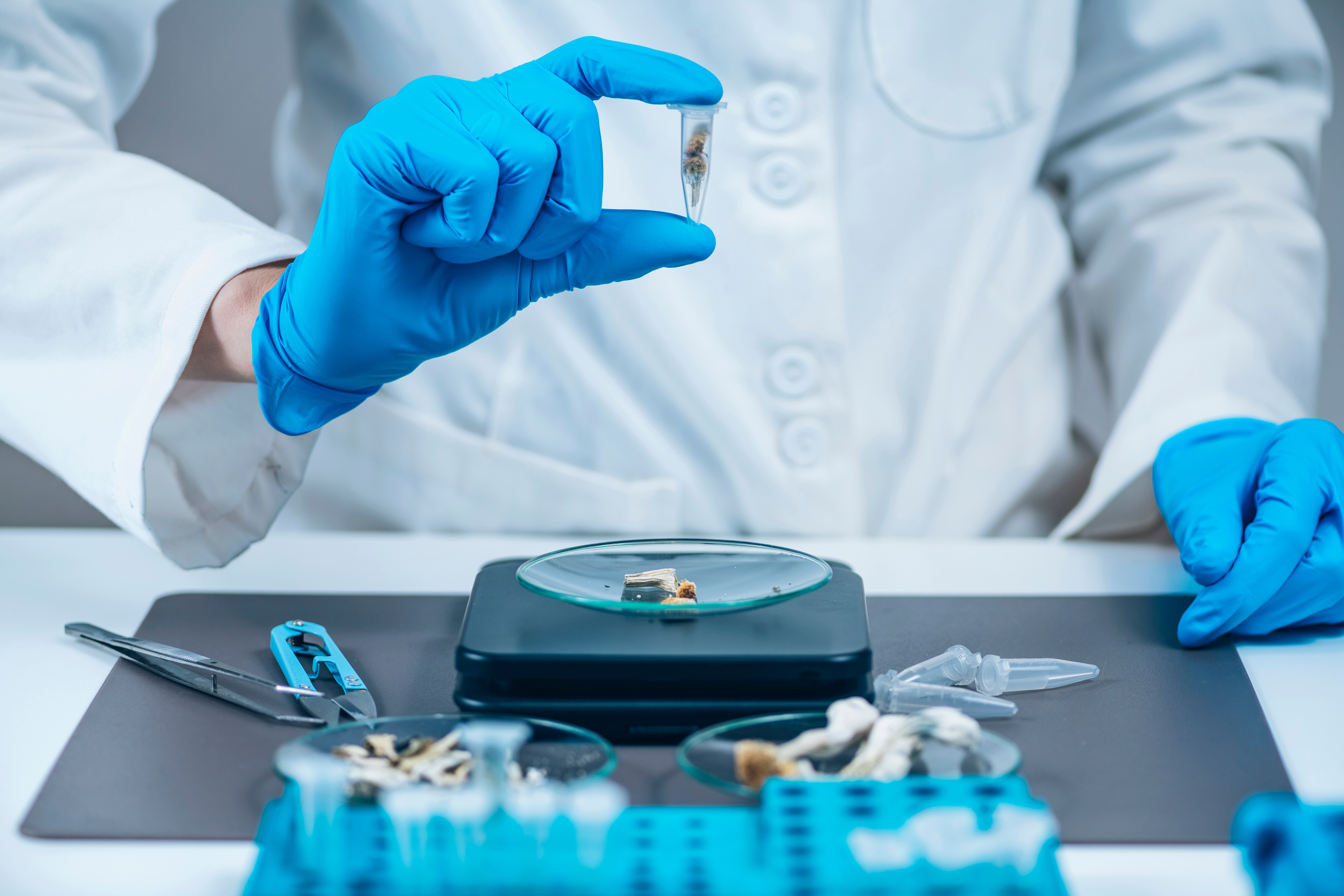 Psilocybin for addiction recovery